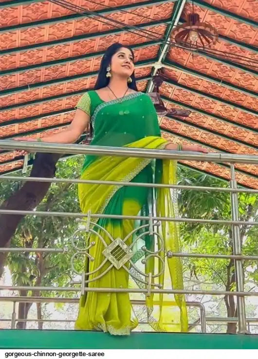 AZR BEAUTIFUL CHINNON GEORGETTE SAREE